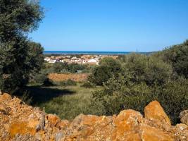 Orris camp