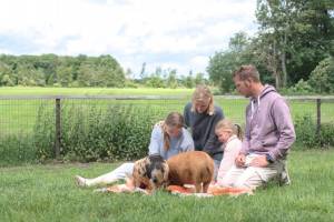 Wohnmobilstellplatz für Tierliebhaber in Weelde
