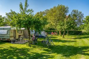 Gartencamping in der Nähe der Maas