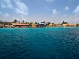 Divi Flamingo Beach Resort en Casino