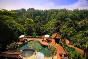Nandini Jungle Resort & Spa