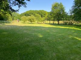 Talwiese in den Dammer Bergen