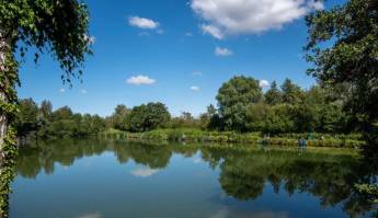 Gartencampingplatz mit Blick auf das Naturschutzgebiet Ploegstee