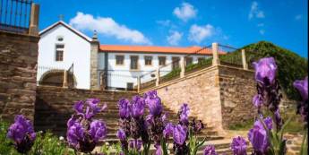 Luxe Rural Special 4 - Noord & Midden Portugal in boutique hotel