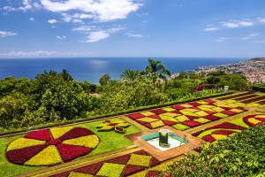 Semi All Inclusive cruise Canarische Eilanden en Madeira