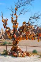 8-daagse rondreis Wonderlijk CappadociÃ«