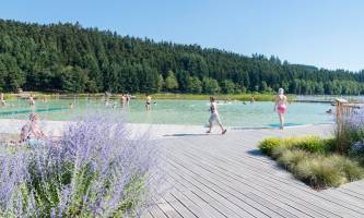 Le Lac des Sapins