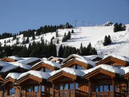 Les Chalets du Forum