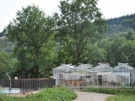 Camping Glamping Terre Rouge