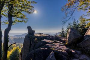 Autovakantie Thüringen - Ahorn Berghotel Friedrichroda