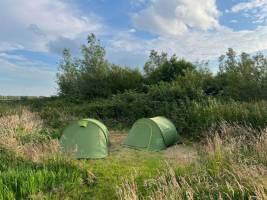 Campingplatz zwischen Delft und Rotterdam, grüne Oase!