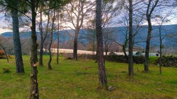 Campingplatz in Seillans, Provence-Alpes-Côte d’Azur