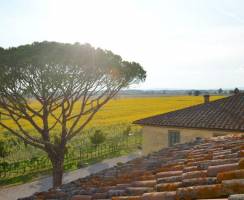 Le Terre dei Cavalieri Appartementen