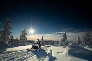 8 daagse excursiereis Kieppi Wilderness Week