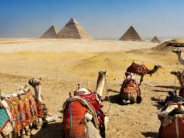 Groepsreis Egypte; Van Noord naar Zuid