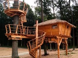 Treehouse 2