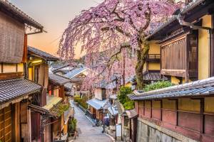 Treinreis Japan