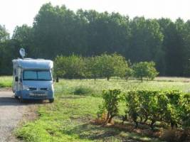 BIO-Weine und seltene Rebsorten Domaine de la Méchinière – Entde