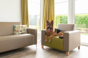Comfort Lodge | 6 personen(50 m²)- Honden toegelaten - Met airco