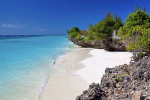 9 daagse safari Selous & Zanzibar deluxe