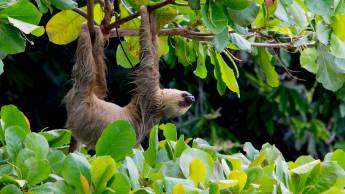 Pura Vida in Costa Rica