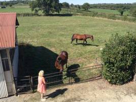 Ländlicher Rückzugsort in der Auvergne