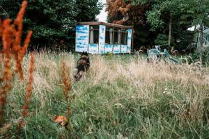 Campingplatz in Beersel, Flämisch-Brabant