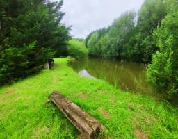 Chaudenay, ruhiger privater Campingplatz am Rande eines Teiches,