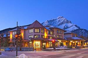 Wintersport - Elk & Avenue Hotel, Banff