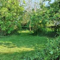 Ländlicher Campingplatz im Obstgarten