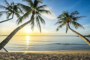 Samui Paradise Chaweng Beach Resort&Spa