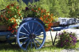 Camping Les Mélèzes Onlycamp