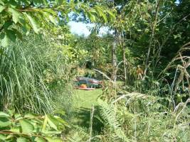 Camping unter den Bäumen in einem Wald