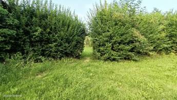 Campingplatz in TRESCAULT