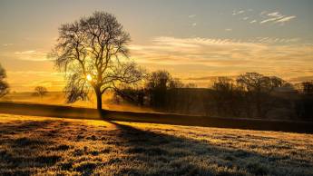 Hotel Restaurant Maashof
