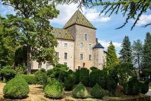 Camping De Santenay