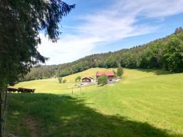 Berghof