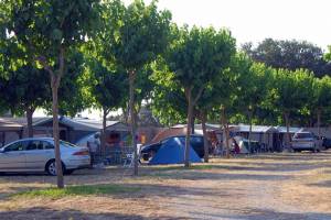 Camping Mas Patoxas