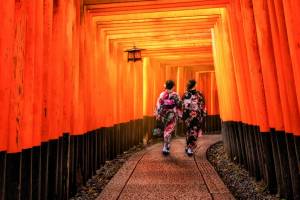 13-daagse Kennismaking met Japan