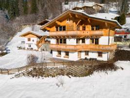 Alpensteinbock Saalbach A