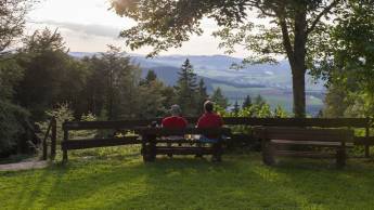 Hotel Niedersfeld Winterberg