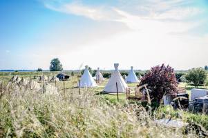 Tinyparks Tiengemeten