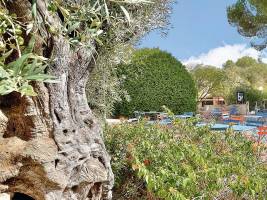 Club Belambra Les Terrasses de St Paul-de-Vence