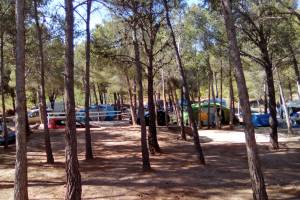 Camping Le Bois de Pins