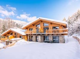 Tauernlodge Eben C4