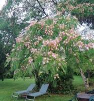 Campingplatz in Monguilhem, Okzitanien