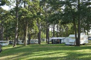 Tcs Camping Orbe
