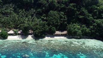 Bouwsteen 8 dagen duiken Sali Bay - Halmahera