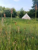 Die Schwarzwasserlichtung ????️⛺????