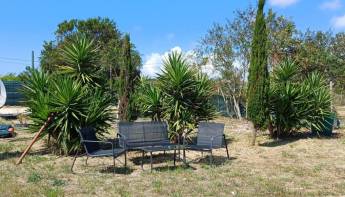 Campingplatz in Vila Nova de Milfontes, Beja
